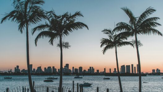 What To Do In Miami Florida